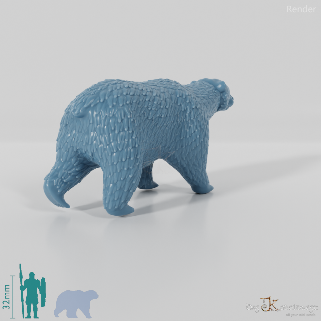 Bär - Eisbär 01