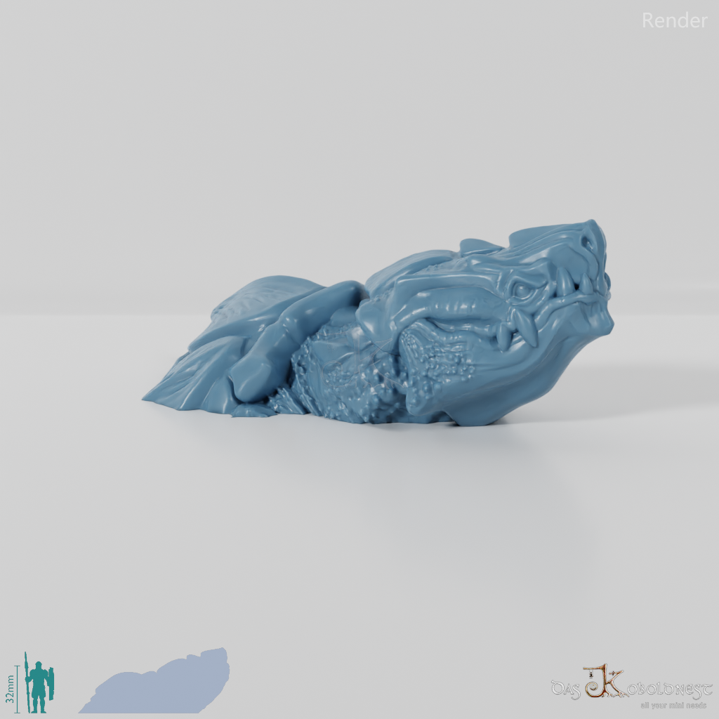 Auftauchende Drachenschildkröte