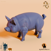 Schwein - Butch, Hausschwein von Edith Bates