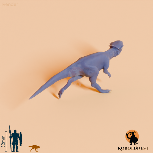 Chaoyangsaurus youngi 06