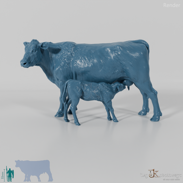 Beef - North Devon Cow with Calf - Suckling