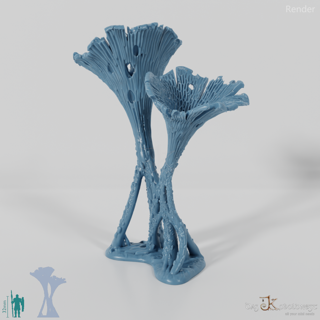 Die Pilzwälder - Hohe Riesentrompeten