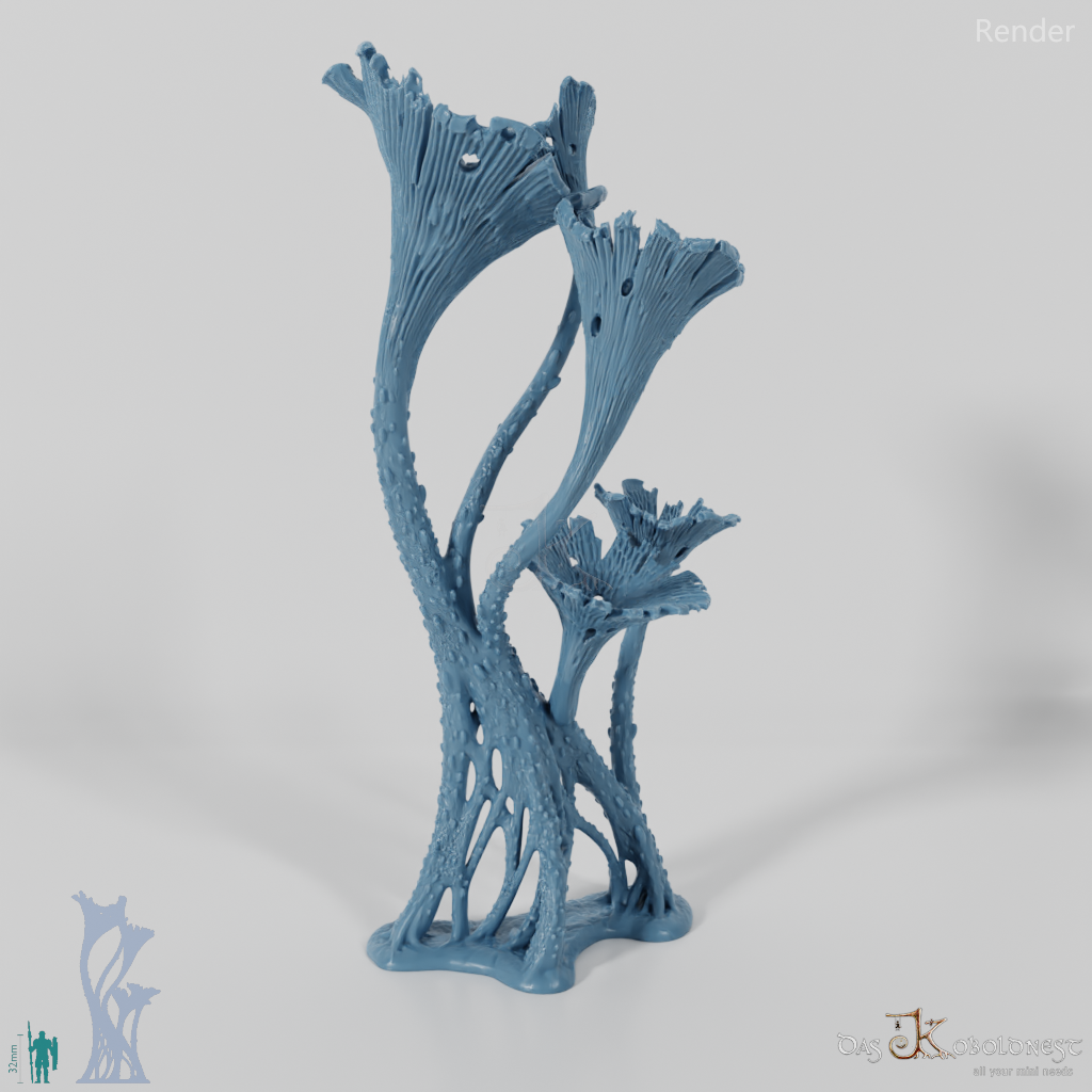 Die Pilzwälder - Hohe Riesentrompeten