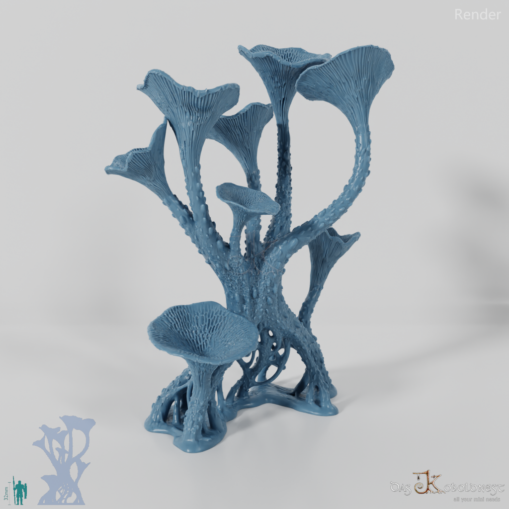 Die Pilzwälder - Hohe Riesentrompeten