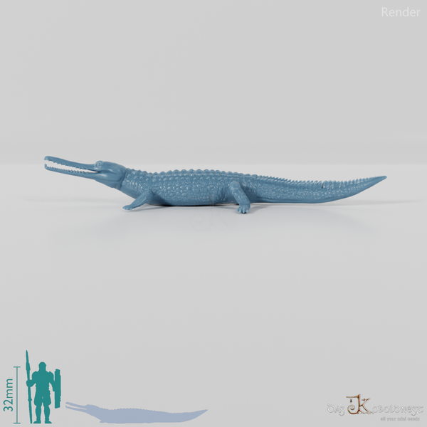 Krokodil - Gavial 01