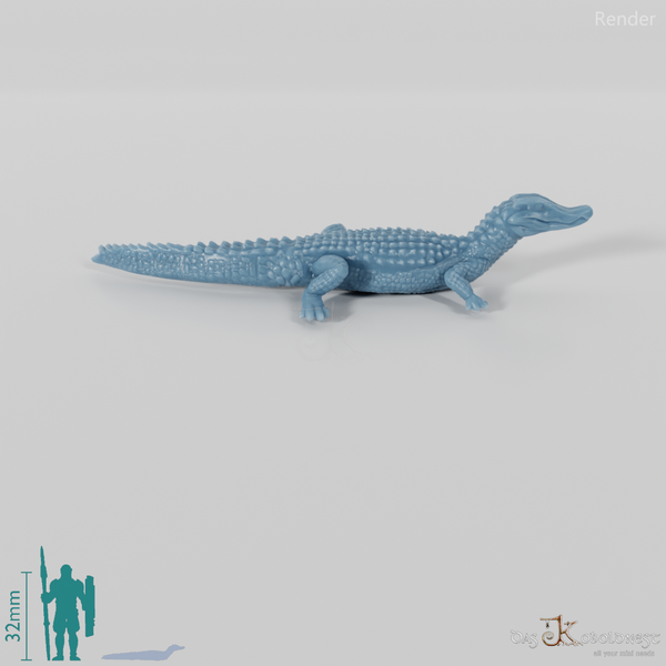 Krokodil - Glattstirnkaiman 01