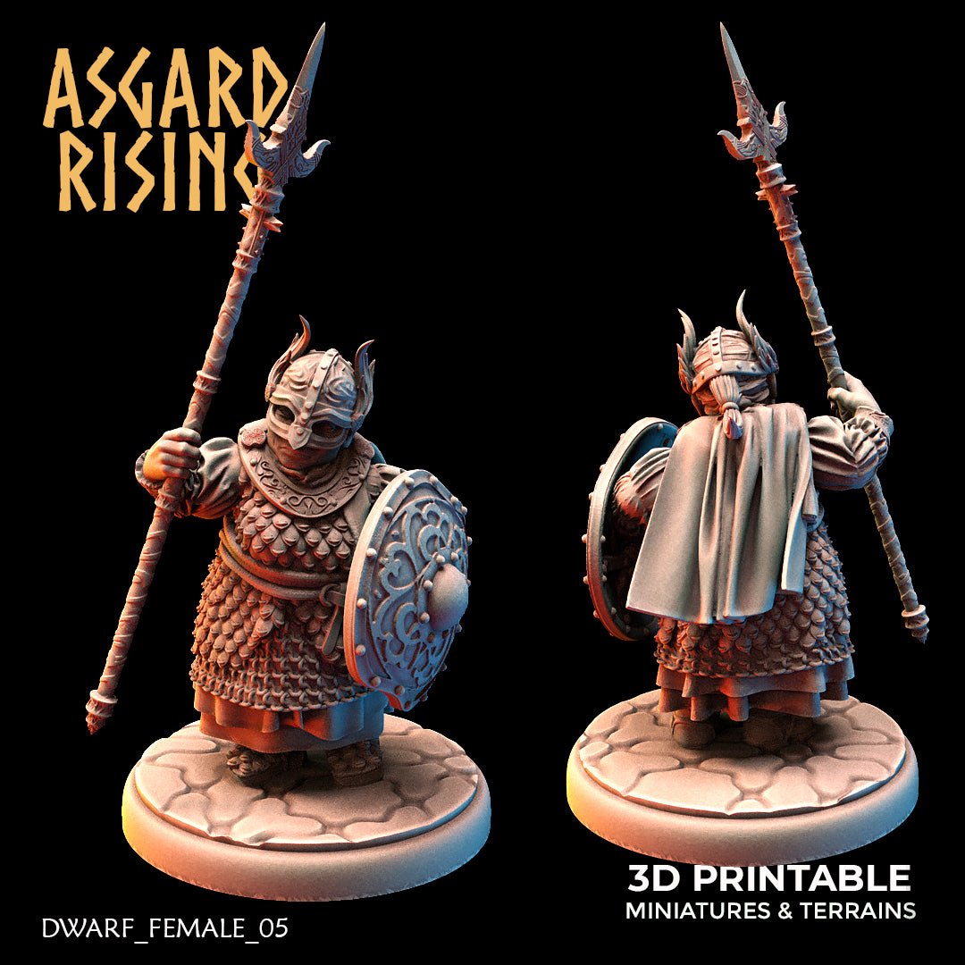 Zwergen-Schildmaid 05