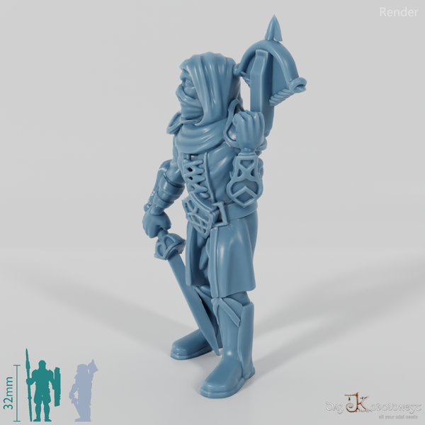 Dunkelelfen-Assassine