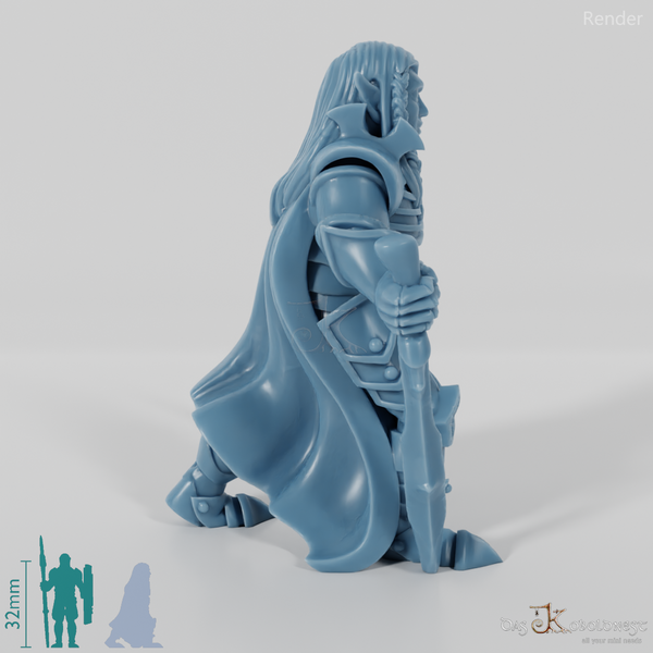 Dunkelelfen-Schwertkämpfer