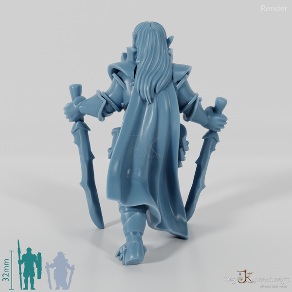 Dunkelelfen-Schwertkämpfer