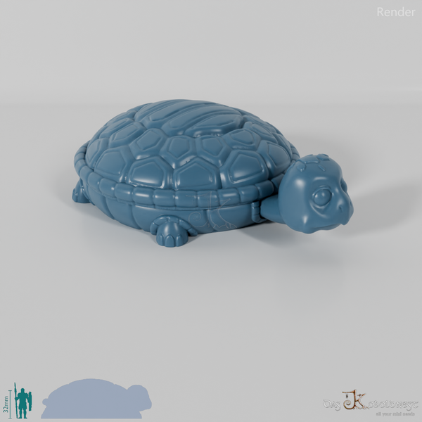 Würfelbox - Schildkröte