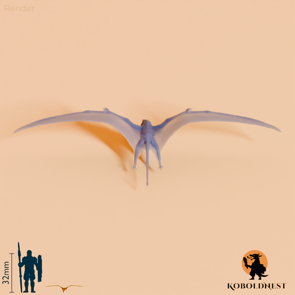 Dimorphodon macronyx 01