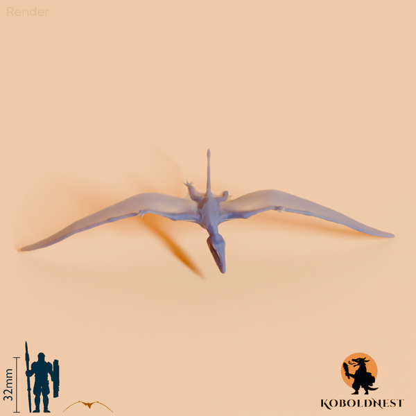 Dimorphodon macronyx 02