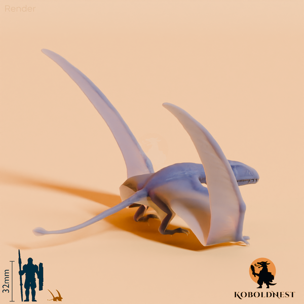 Dimorphodon macronyx 03