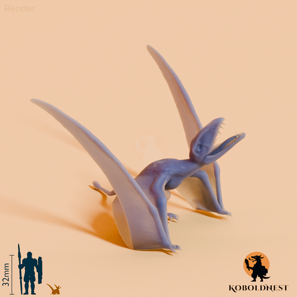 Dimorphodon macronyx 04