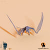 Dimorphodon macronyx 05