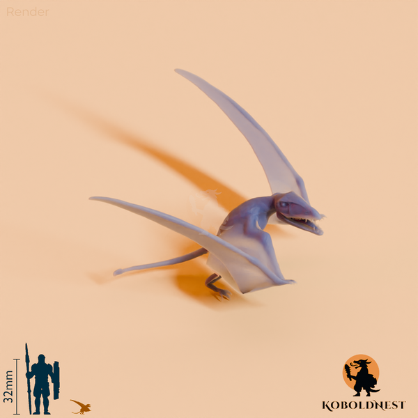 Dimorphodon macronyx 05