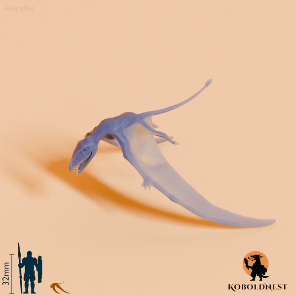 Dimorphodon macronyx 06