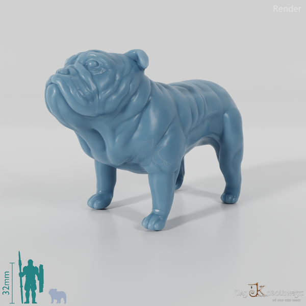 Hund - Britische Bulldogge 01