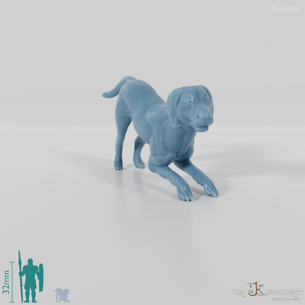 Hund - Dalmatiner 01