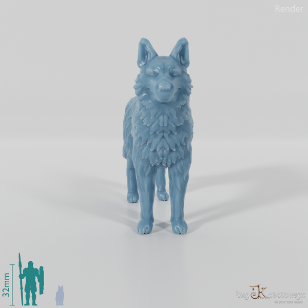 Hund - Deutscher Schäferhund 01