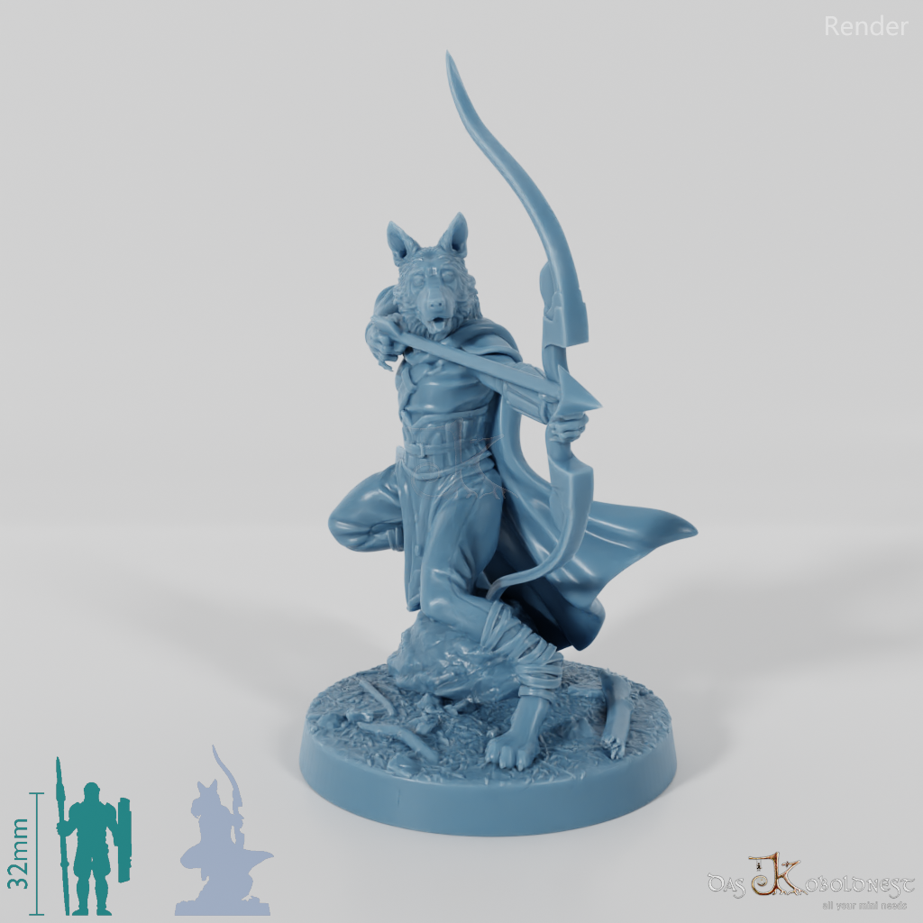 Hundevolk-Waldläufer - Border Collie