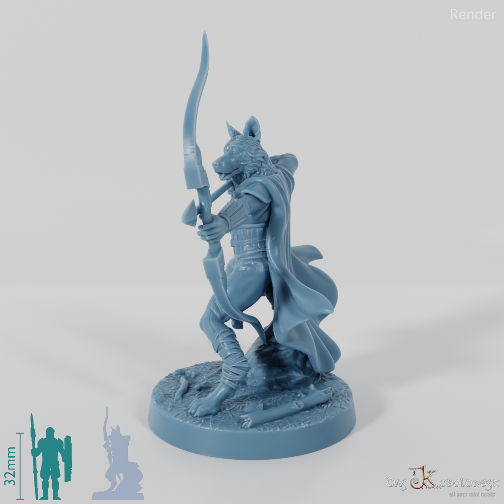 Hundevolk-Waldläufer - Border Collie