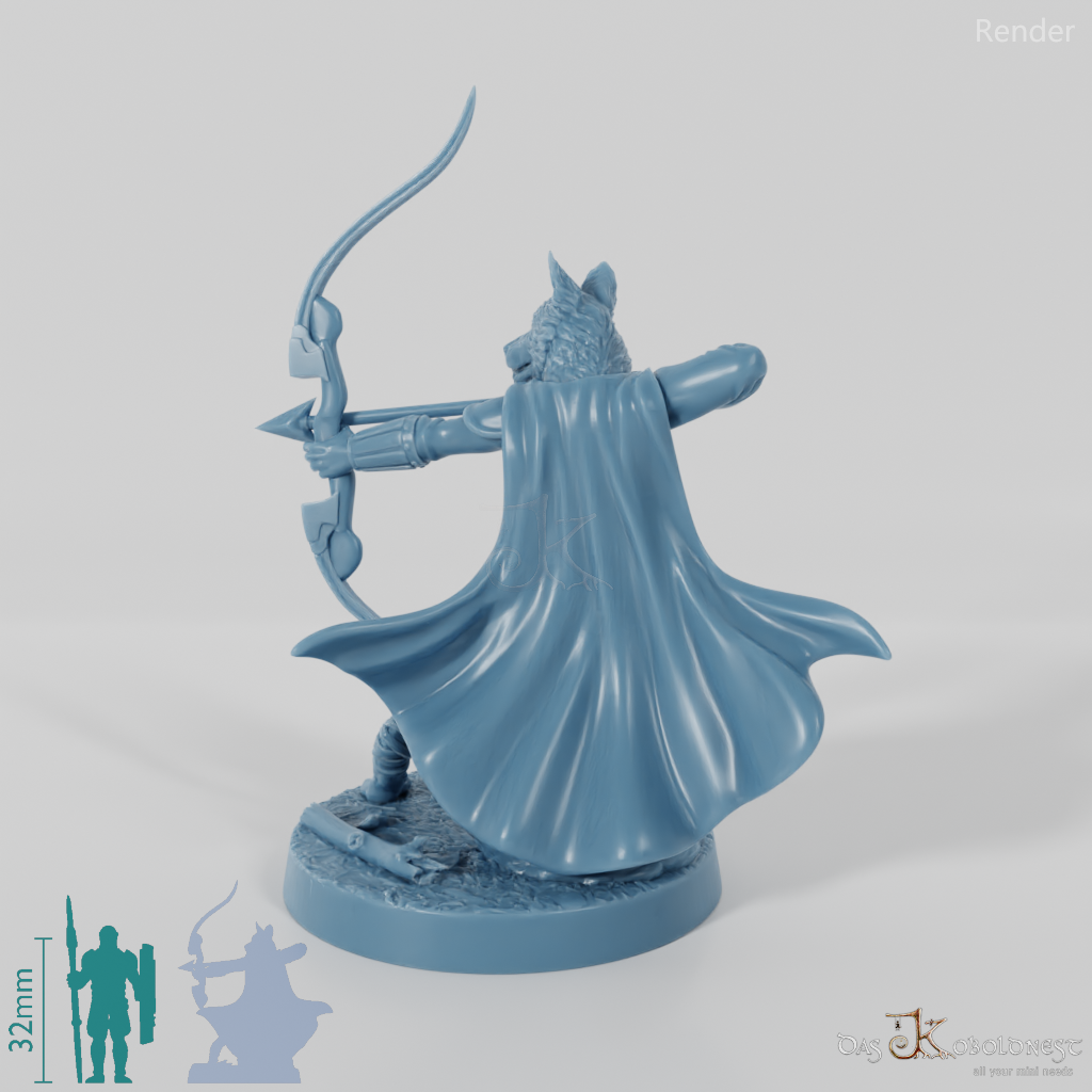 Hundevolk-Waldläufer - Border Collie