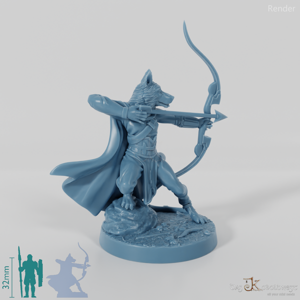 Hundevolk-Waldläufer - Border Collie