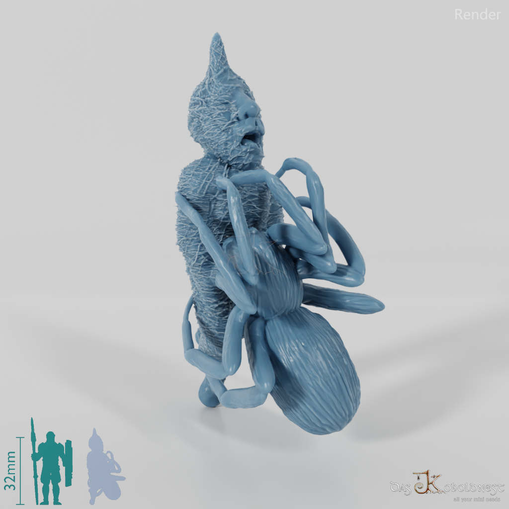 Eingesponnener Zwerg mit Riesenspinne