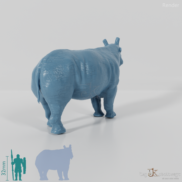 Eobasileus cornutus 00 - JJP