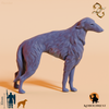 Hund - Fido, Windhund