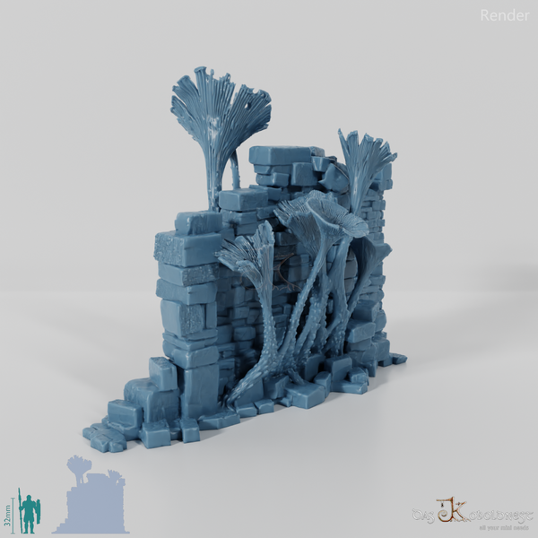 Pilzüberwucherte Ruine D