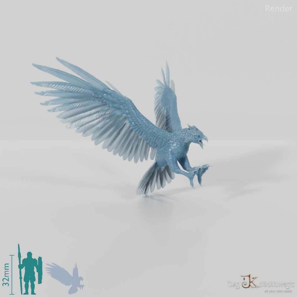 Hieraaetus morei 01 - JJP