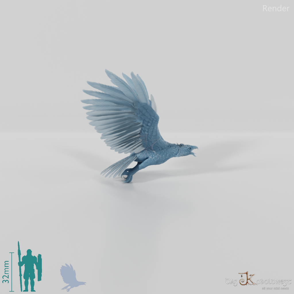 Hieraaetus morei 02 - JJP