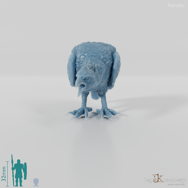 Hieraaetus morei 05 - JJP