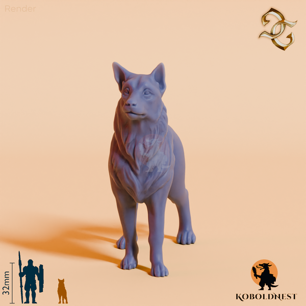 Hund des Eremiten 02