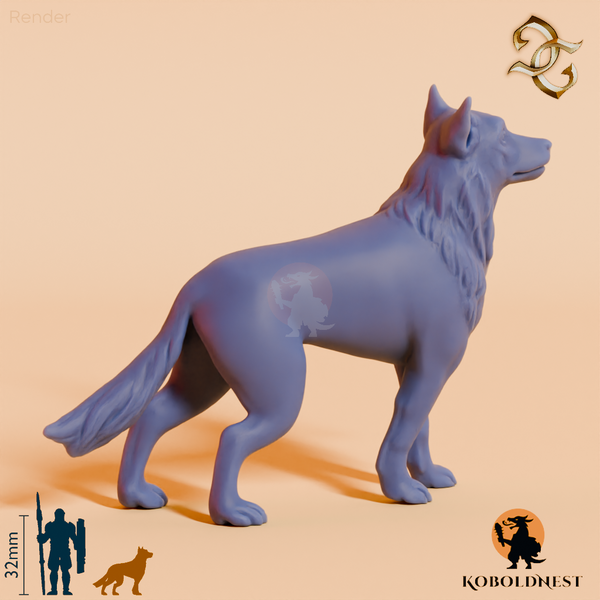 Hund des Eremiten 02