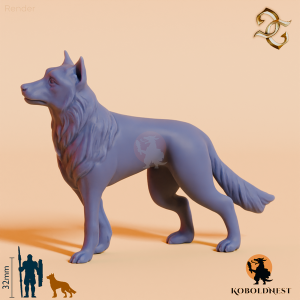 Hund des Eremiten 02