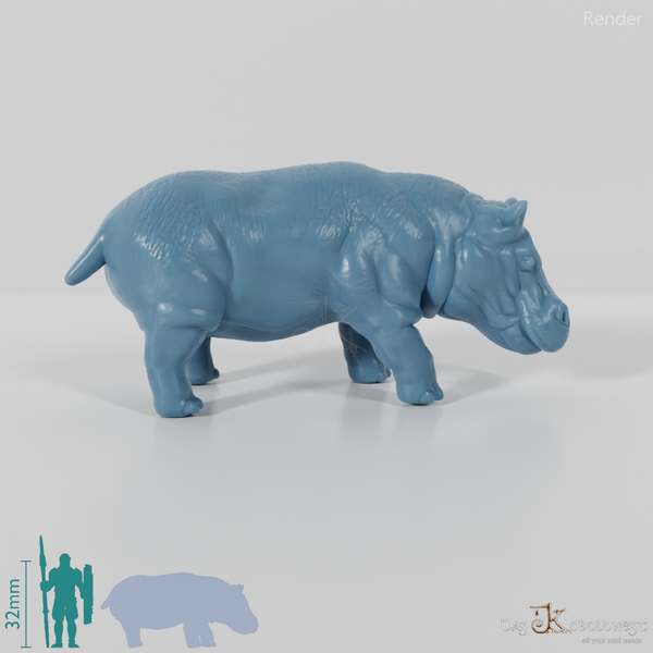 Flusspferd - Nilpferd 02