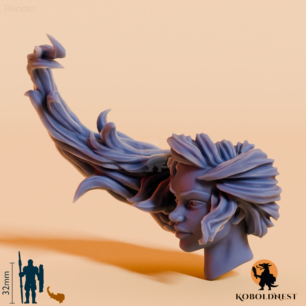 Frauenkopf - 37