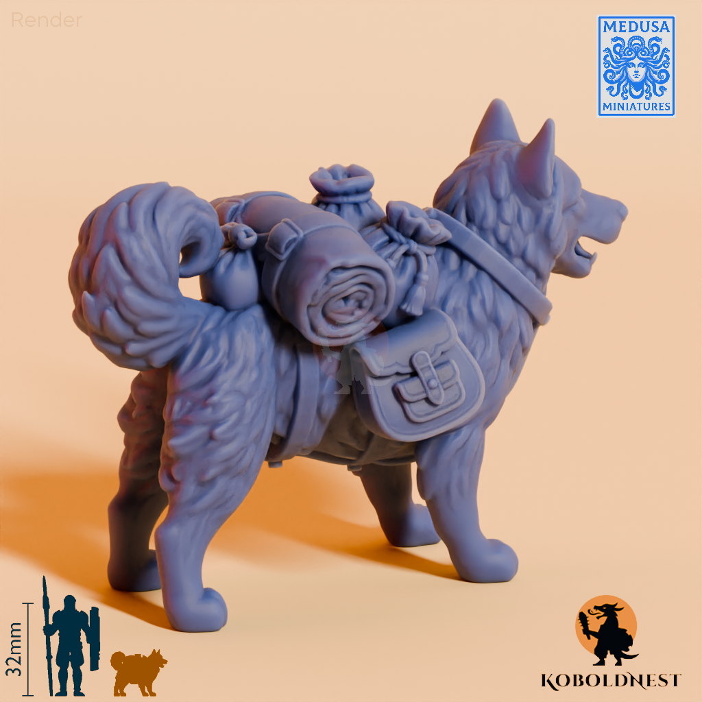 Husky-Adventurer_render_75pitch_120deg.png