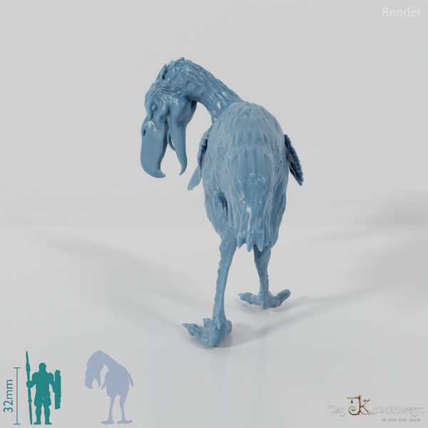 Kelenken guillermoi 04 - JJP