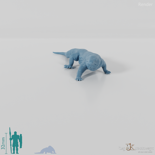 Waran - Komodowaran 02