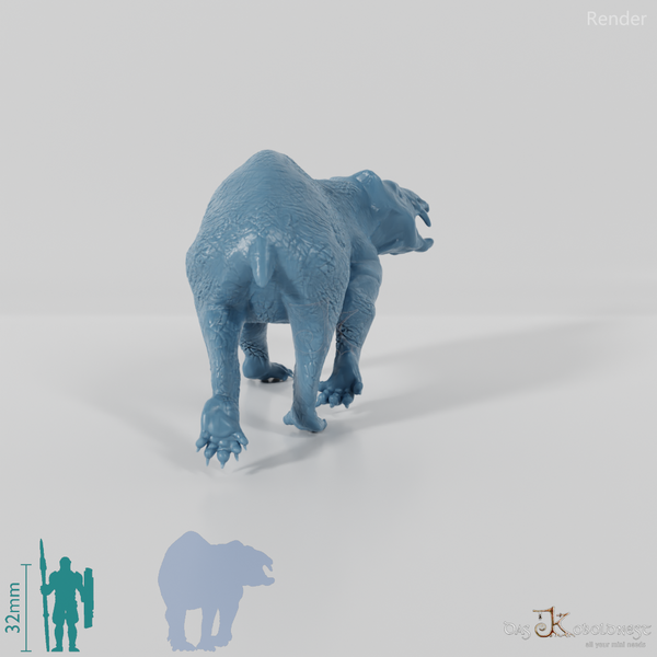 Lisowicia bojani 02 - JJP