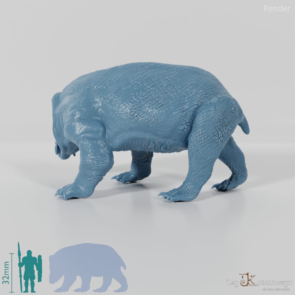 Lisowicia bojani 03 - JJP