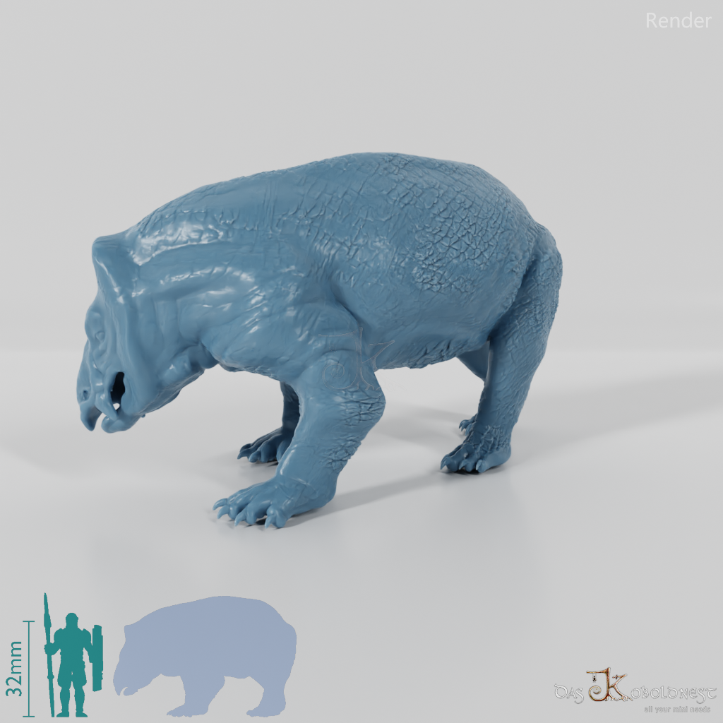 Lisowicia bojani 03 - JJP