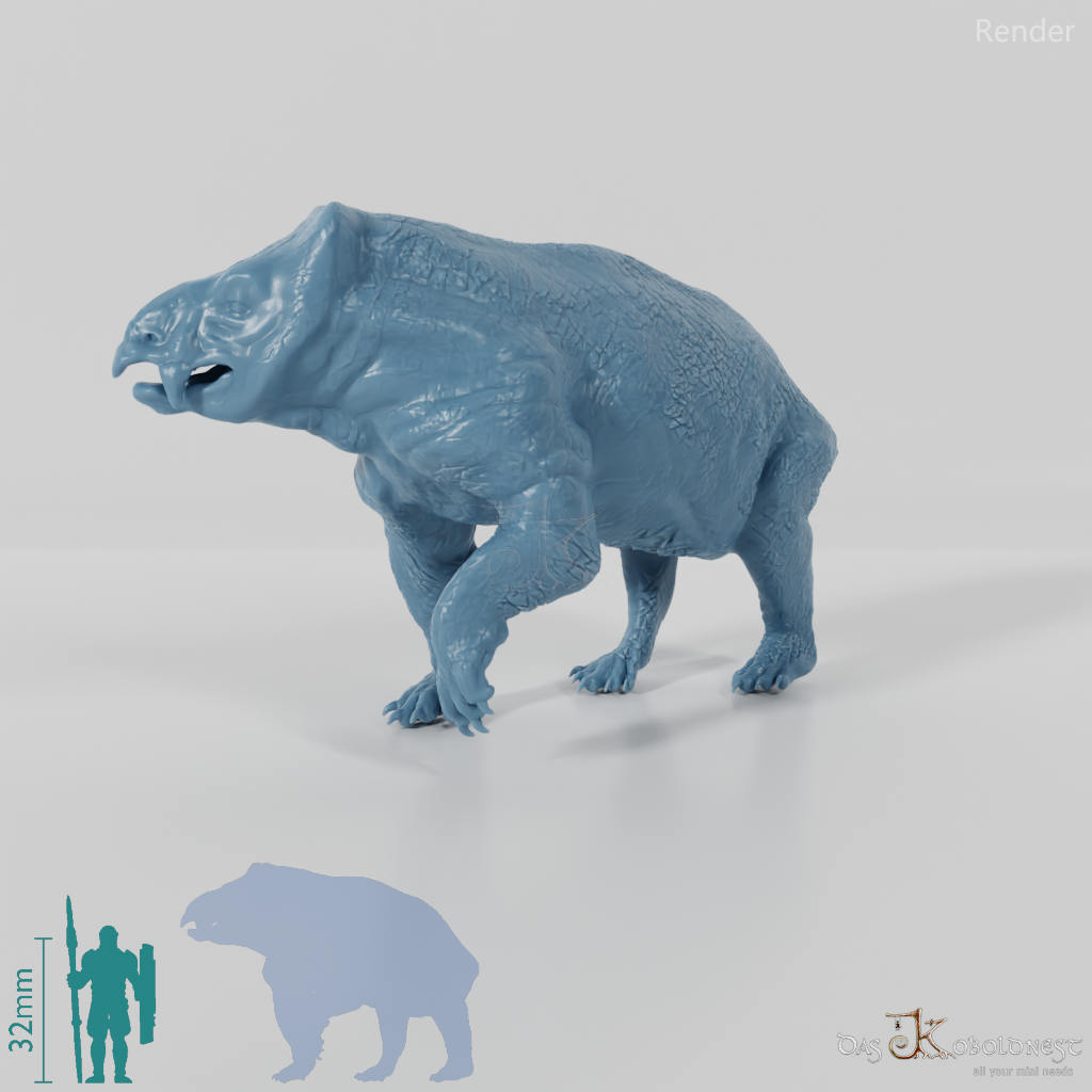 Lisowicia bojani 04 - JJP