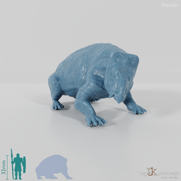 Lisowicia bojani 05 - JJP