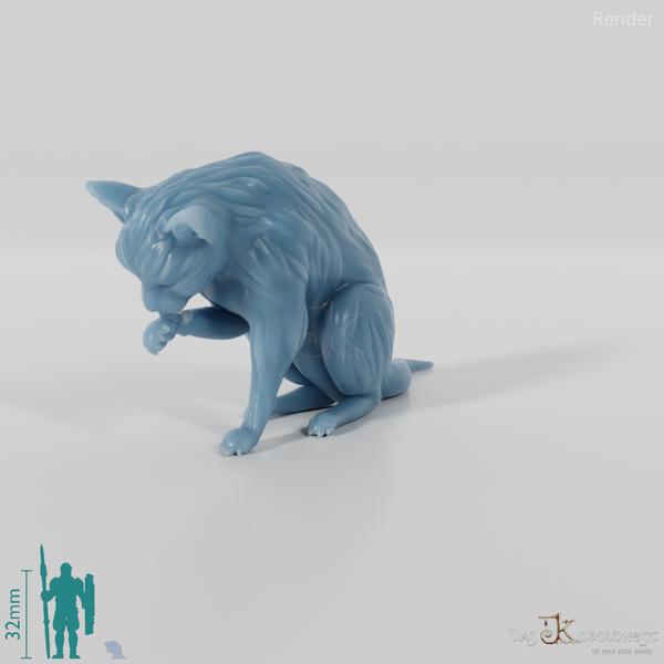 Katze - Lilith, putzende Katze